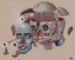 Dissection of a Head
