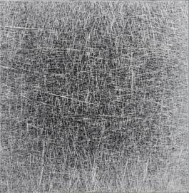 Untitled 1
