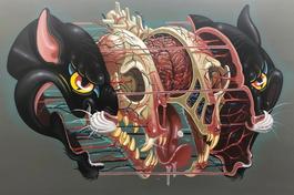 Black Panther Head Anatomy