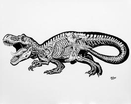 Anatomy Of A Tyrannosaurus Rex