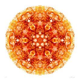 Svadhishthana