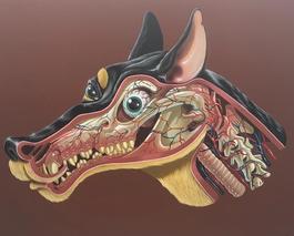 German Jagdt Terrier Head Dissection