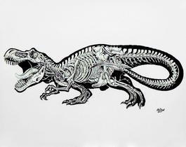 Anatomy Of A Tyrannosaurus Rex