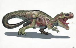 Translucent Rex