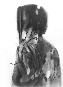 05- Nebula Series