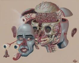 Dissection of a Head