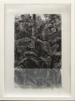 Selva Antigua
