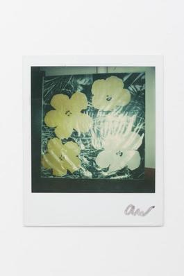 Warhol Flowers