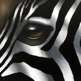 Zebra Marathon