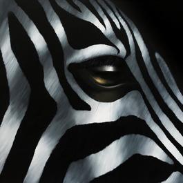 Zebra Sprinter