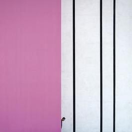 Pink and Lines