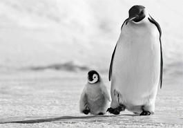 Father and Son