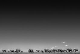 Life on Earth