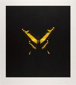 Yellow Butterfly (The Souls On Jacob