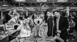 The Wolves of Wall Street II