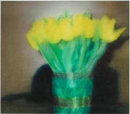 Tulips (P17)