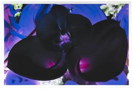 At the Far Edges of the Universe 6