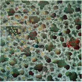 Among Thousands of Stones