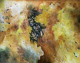 Budlet 4