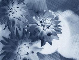 neg◊stil_12