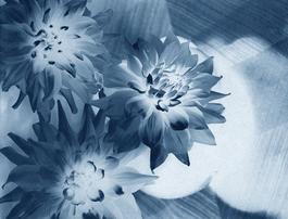 neg◊stil_12
