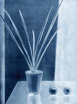 neg◊stil_18