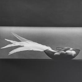 Feathers and Eggs