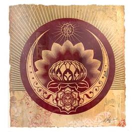 Lotus Crescent Study