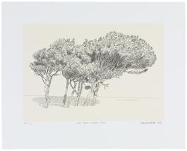 Pine Trees, Simon