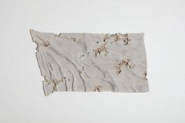 Glacial Rock Eroded Flag