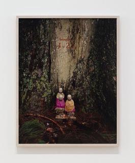 Exquisite pain, J-22 (Bouddha in front of a tree)