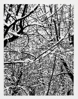SNOW FOREST 002A
