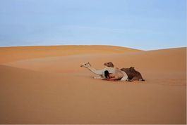 Sahel, Mali, Sahara