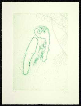 Owl (Boscoe)