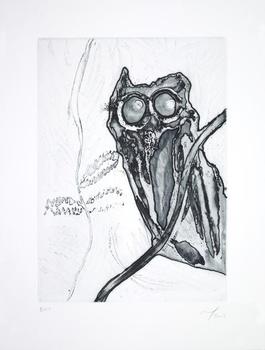 Owl in a Neem Tree, Boscoe
