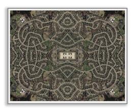 The Garden