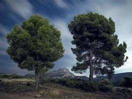 Sainte-Victoire #3200