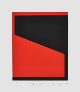 Rojo y Negro (Red and Black)