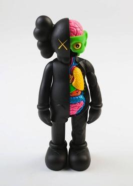 Five Years Later Dissected Companion (Black)
