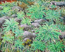 Spring Weeds