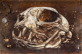 CAT SKULL