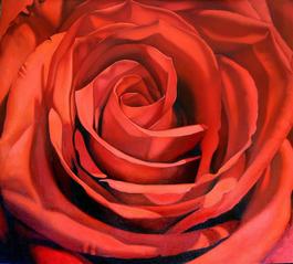 Red Rose