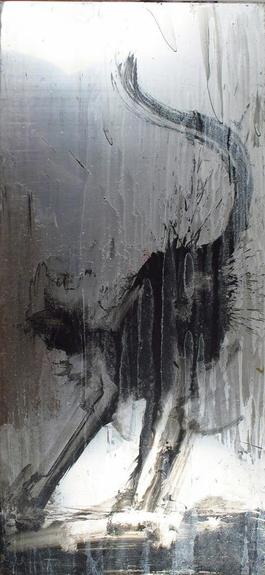 Shadow Cat