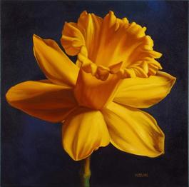 Daffodil
