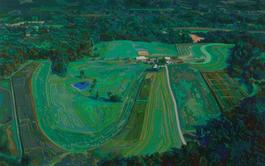 Farm from a Helicopter