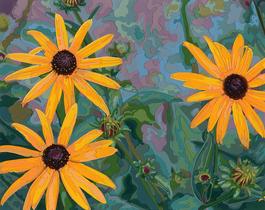 Black-Eyed Susan