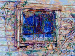 Cabin Window