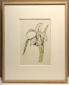 Still-Life (Flower)