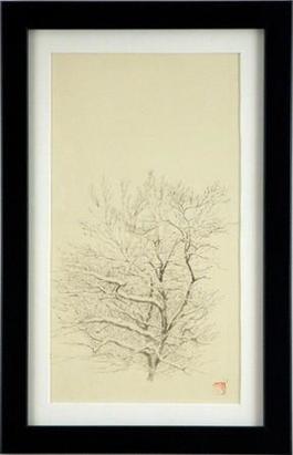 Tree Study, Dogwood