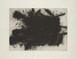 Black Rose (1 of 3)